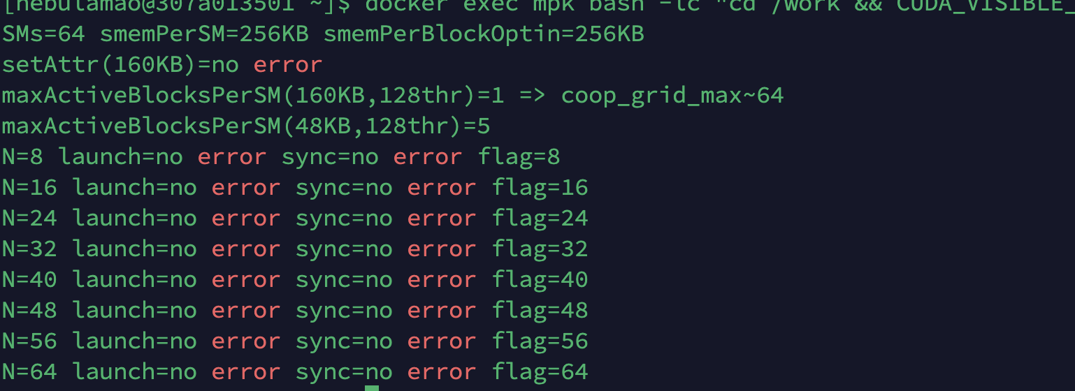 占用探针 —— 256KB/SM,64 block 全驻留